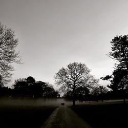 Road amidst silhouette trees on field against sky