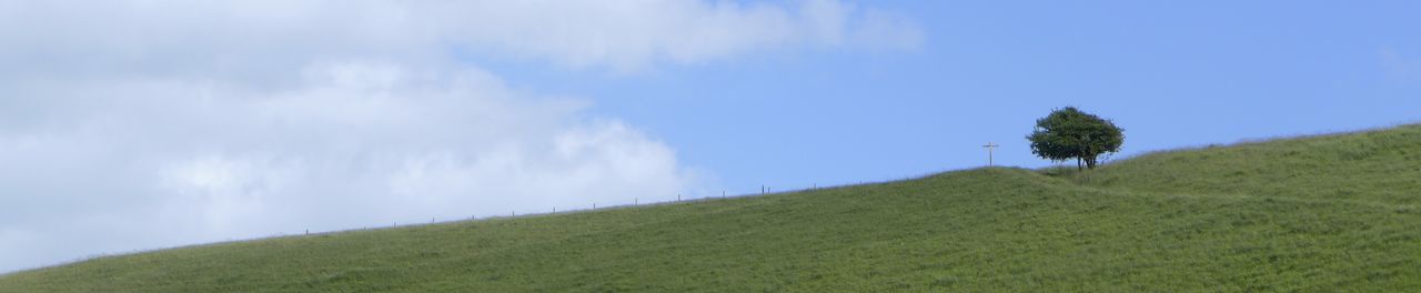 Panoramic view of green landscape against sky