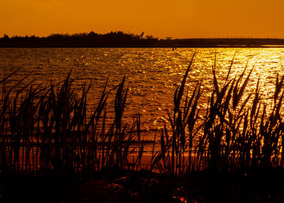Scenic view of lake during sunset