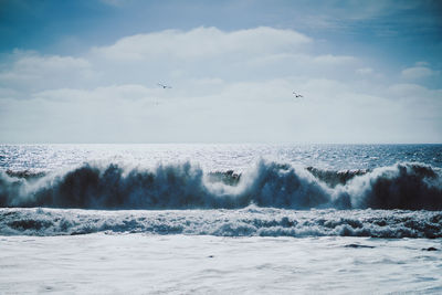 Birds flying over sea against sky
