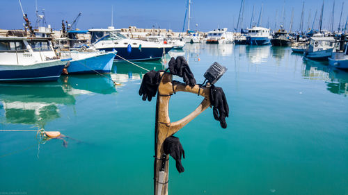 Fishing boats in harbor