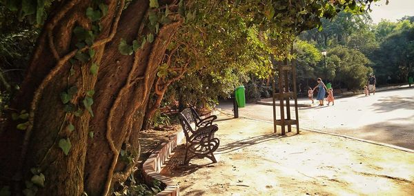 People walking on footpath in park