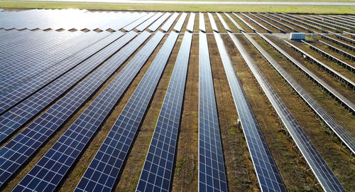 High angle view of shadow of plants