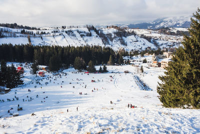 High angle view of trees on snow covered mountain against sky