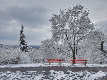 Bare trees on snow covered landscape against sky