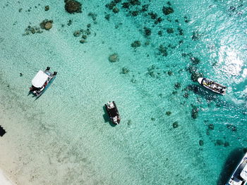 High angle view of people swimming in sea