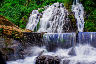 Scenic view of waterfall in forest