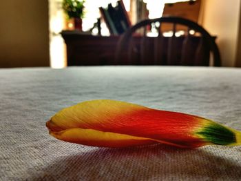 Close-up of leaf on table at home