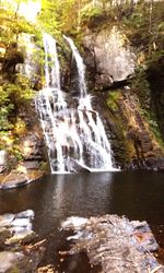 Scenic view of waterfall in forest