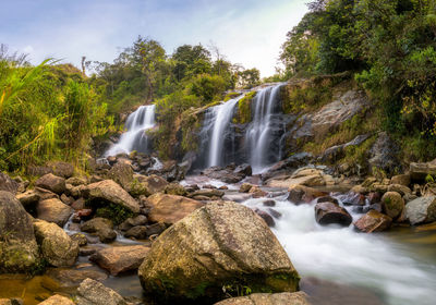 Scenic view of waterfall in forest