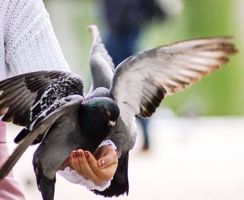 Cropped image of woman perching on birds