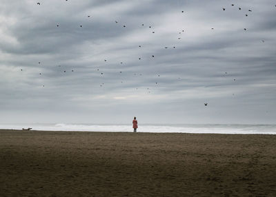 Rear view of woman standing at beach