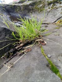 Rocks in sea