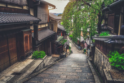 Footpath amidst houses and trees in village