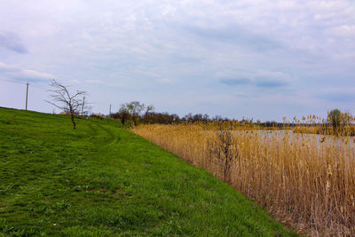 Scenic view of field against sky
