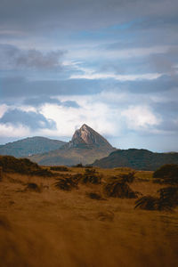 Scenic view of desert against sky