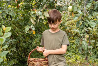 Portrait of boy picking corn