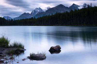 Scenic view of lake by trees against sky