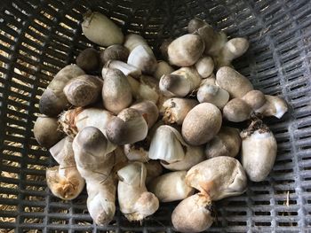 High angle view of mushrooms in basket