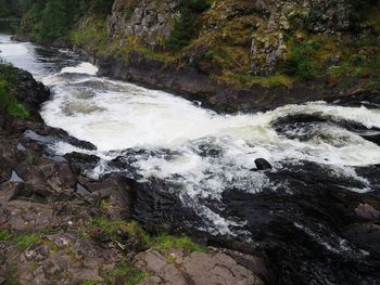 Scenic view of waterfall in forest