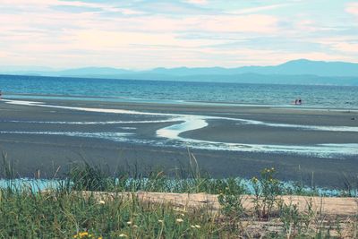 Scenic view of beach against sky