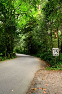 Road amidst trees in forest