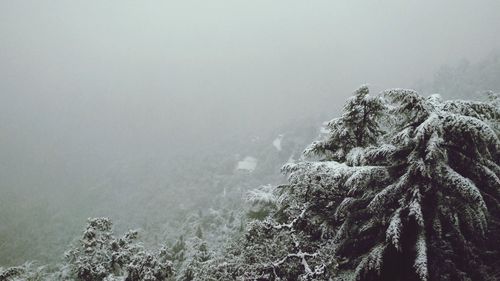 Scenic view of snow covered land