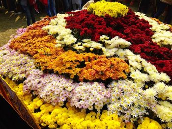 High angle view of fresh flowers in market for sale