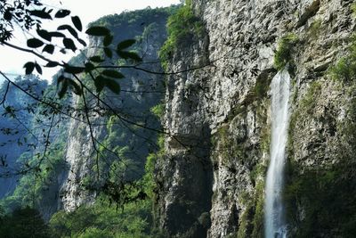 Waterfall in forest