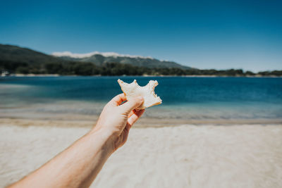 Close-up of hand holding crab at beach against blue sky