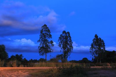 Trees on field against blue sky