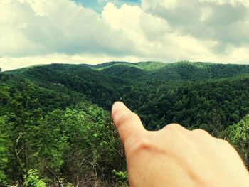 Midsection of person hand amidst trees against sky