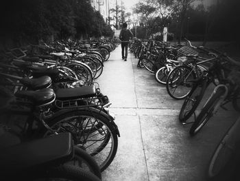 Cars parked in parking lot