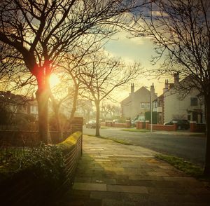 Bare trees in city against sky