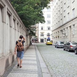 Rear view of people walking on street