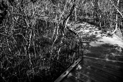 High angle view of boardwalk in field