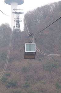 Low angle view of overhead cable car amidst trees