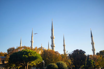 View of trees and buildings against blue sky