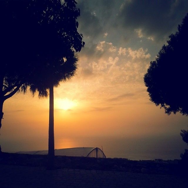 sunset, silhouette, sky, tranquility, tranquil scene, tree, beauty in nature, scenics, orange color, nature, idyllic, cloud - sky, palm tree, landscape, cloud, dark, outdoors, dusk, no people, dramatic sky