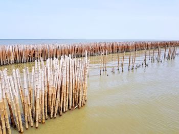 Wooden posts in sea against clear sky