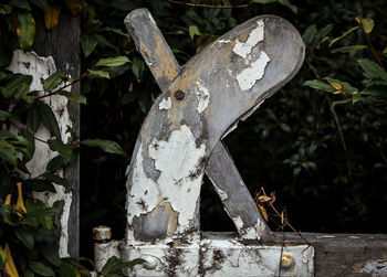 Close-up of cemetery