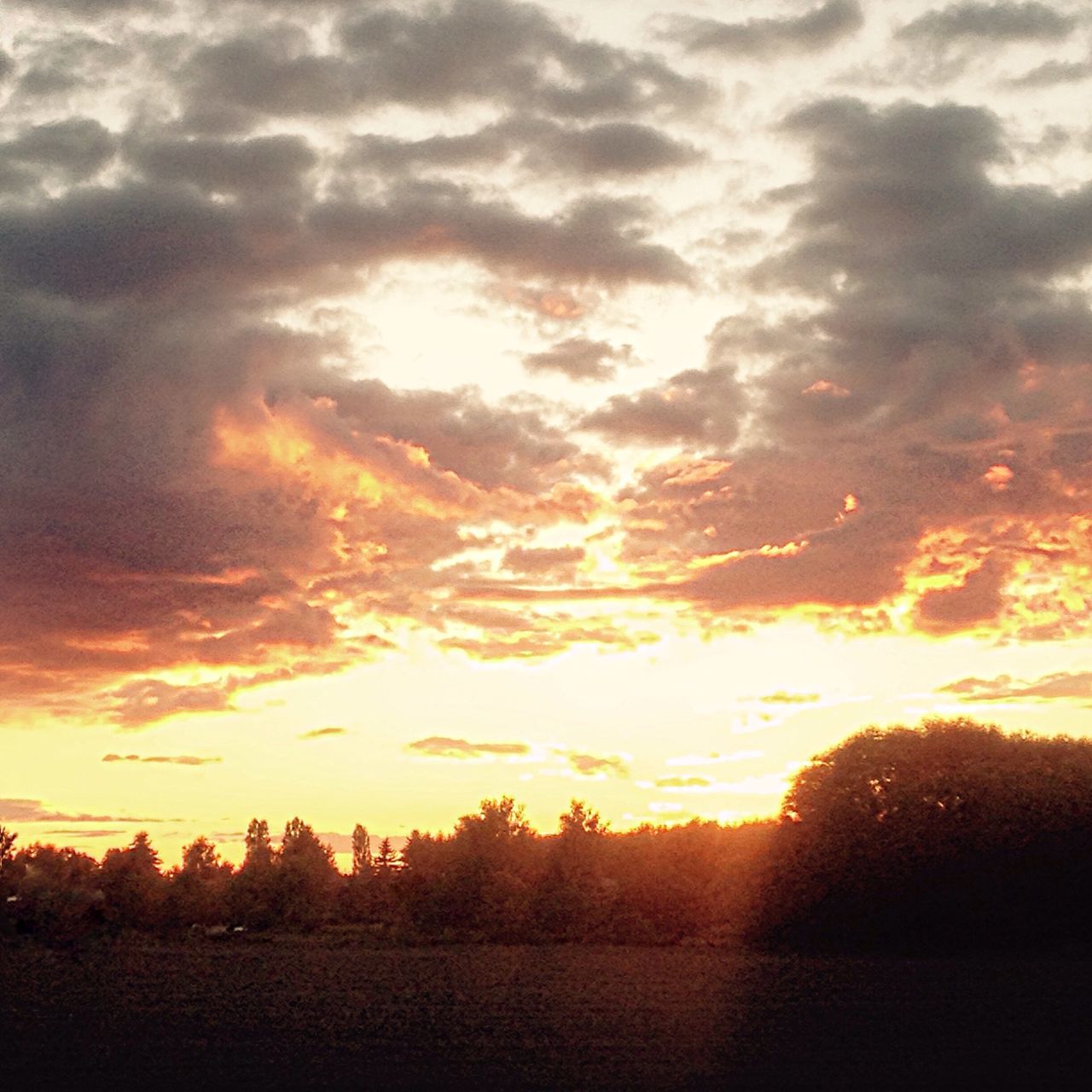 sunset, sky, tranquil scene, scenics, tranquility, beauty in nature, landscape, cloud - sky, orange color, silhouette, field, nature, tree, idyllic, dramatic sky, cloud, sun, cloudy, sunlight, rural scene