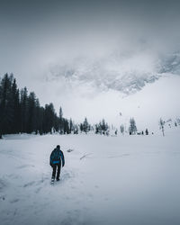 Rear view of person walking on snow covered mountain