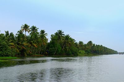 Scenic view of calm sea against clear sky