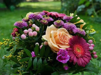 Close-up of fresh pink rose bouquet