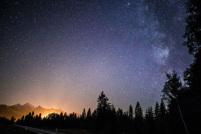 Low angle view of silhouette trees against star field