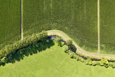 High angle view of green field