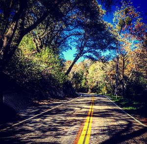 Empty road along trees