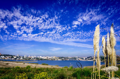 Scenic view of sea against cloudy sky