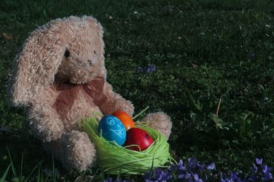 Close-up of easter eggs and bunny